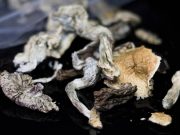 Social Determinants of Health Impact Poststroke Mortality Risk