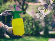 Incidence of Specific, All Cancers Increased With Pesticide Use