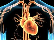 PREVENT Equations Show Lower ASCVD Risk Than Pooled Cohort Equations