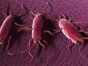 Increases in Incidence of Certain Foodborne Diseases Seen During 2023