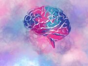 Widespread Brain Structural Alterations Seen in Conduct Disorders