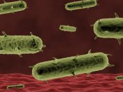 Case of Human Plague Confirmed in Colorado