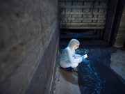 Influenza A Identified at 11 Sites in Four States in Wastewater Testing