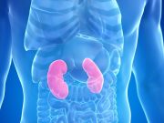 Systemic Immune-Inflammation Index Tied to Mortality in CKD