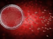 Paternal Antiseizure Rx Use at Conception Does Not Pose Risk to Offspring