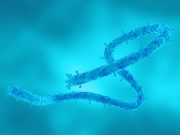 Outbreak of Ebola-Like Marburg Virus in Rwanda Has Killed 8 People