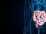 Gut Flora Differs in Patients With Epilepsy and Cognitive Dysfunction