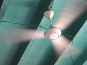 Use of Fan, Skin Wetting Reduces Cardiac Strain in Hot, Humid Conditions