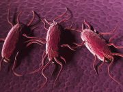 CDC Reports Infant Death From Listeria Outbreak Tied to Ready-to-Eat Meats