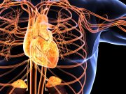 AHA: Initial Catheter Ablation Beneficial for Ventricular Tachycardia