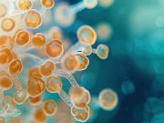 Expanded Admission Screening Protocol for Candida Auris Beneficial