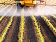 Certain Pesticides Tied to Increased Prostate Cancer Incidence, Mortality