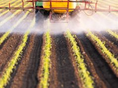 Certain Pesticides Tied to Increased Prostate Cancer Incidence, Mortality