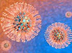Global Incidence, Prevalence High for Genital Herpes Simplex Virus Infections