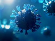 Mystery Illness Outbreak in Congo May Be Malaria