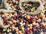 Eat Less Meat, More Beans & Lentils for Protein, New USDA Guidelines Say