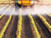 Specific Pesticides Linked to Increased Risk for Rheumatoid Arthritis