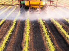 Specific Pesticides Linked to Increased Risk for Rheumatoid Arthritis