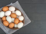 Bird Flu Outbreak Forces Culling of 100,000 Ducks, Threatening Last Duck Farm in Long Island