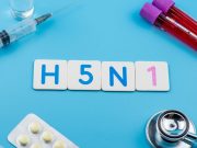 CDC: Another Human Bird Flu Case Brings Total to 67