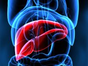 TACE + Lenvatinib, Pembrolizumab Tied to Improved Survival in Unresectable Liver Cancer