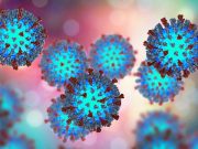 Number Infected Now 24 in Texas County Measles Outbreak