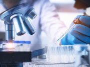 Bird Flu Studies Delayed as White House Halts CDC Reports