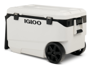 Igloo Recalls 1M Rolling Coolers Over Risk of Fingertip Amputations