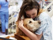 Therapy Dogs May Reduce Child, Parent Anxiety in the Emergency Department
