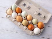 Parents Feel They Are Lacking Information About Bird Flu