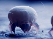 FDA Expands Indication of Dust Mite Allergy Drug to Include Young Children