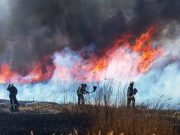 Length of Stay After Lung Cancer Surgery Longer With Wildfire in County of Treating Facility