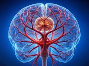 Persistent Postconcussion Changes Seen in Cerebral Blood Flow