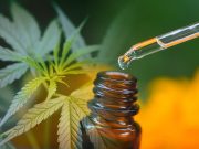 CBD Cannabis Extracts Could Reduce Autism Symptoms in Youth