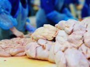 USDA Drops Plan to Limit Salmonella in Poultry Products