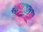 Dementia Biomarkers Associated With Age, Sex, APOE ε4 Status