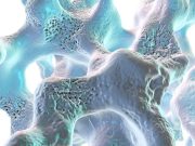 Air Pollution May Worsen Bone Health in Postmenopausal Women