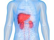 Lasso-LR Model Best for Predicting AKI Mortality in Alcoholic Cirrhosis