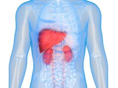 Lasso-LR Model Best for Predicting AKI Mortality in Alcoholic Cirrhosis