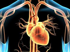 High-Volume Exercise Tied to Increased Coronary Artery Calcification Score