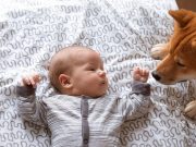 Early Dog Exposure May Modify Genetic Effect on Atopic Eczema Risk