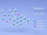 Texas Invests $50M in Psychedelic Drug Research to Treat Addiction