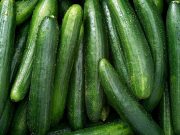 Cucumber-Linked Salmonella Outbreak Sickens Dozens Across 18 States