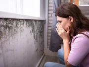 Association Found Between Home Mold, Hypersensitivity Pneumonitis