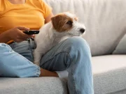 Physical Activity Steadily Declines From Young Adulthood to Middle Age