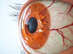 Indicators of Neuropathic Ocular Pain Identified After LASIK