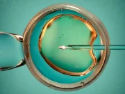 Couple Welcomes Baby From 1994 Embryo in Rare ‘Embryo Adoption’