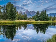 Hundreds May Have Been Exposed to Rabies in Wyoming Park Cabins