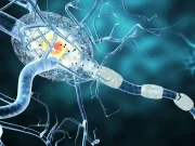 Women With MS Less Likely Than Men to Receive Disease-Modifying Therapies