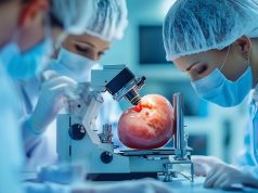 Pig Lung Transplanted Into Man for 9 Days in Groundbreaking Study